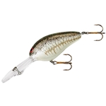 Norman DD22 Crankbait