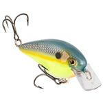 Strike King KVD Elite 2.5 Crankbait