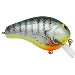Chartreuse Bluegill