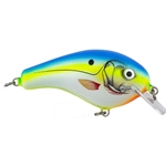 Citrus Shad