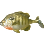 Bluegill