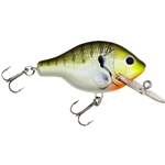 Realistic Bluegill