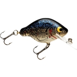 Black Crappie