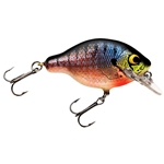 Bream On White