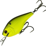 Chartreuse Black Back