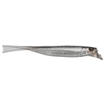 Silver Shad