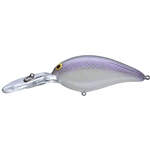 Lavender Shad