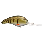 Pro Phantom Perch