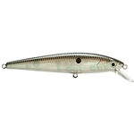 Green Gizzard Shad