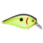 Chartreuse Black Back