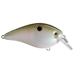 Green Gizzard Shad