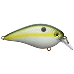 Olive Shad