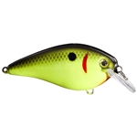 Chartreuse Black Back