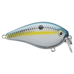 Chrome Sexy Shad