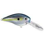 Sexy Shad 2.0