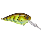 Summer Craw