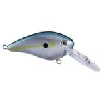 Sexy Shad 2.0
