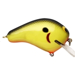 Chartreuse Shad
