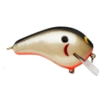 Shad