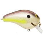 Sexy Shad