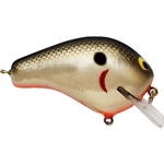 Tennessee Shad,Orange Belly